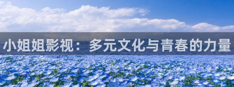 橘子和桔子：小姐姐影视：多元文化与青春的力量