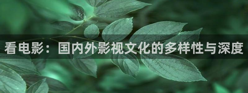桔子照片大全大图：看电影：国内外影视文化的多样性与深度