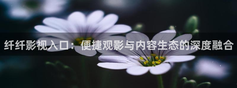 桔子视频下载地址：纤纤影视入口：便捷观影与内容生态的深度融合