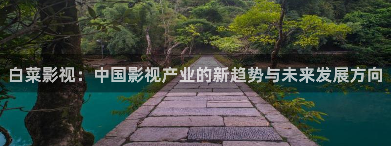 桔子在线看免费观看视频：白菜影视：中国影视产业的新趋势与未来发展方向