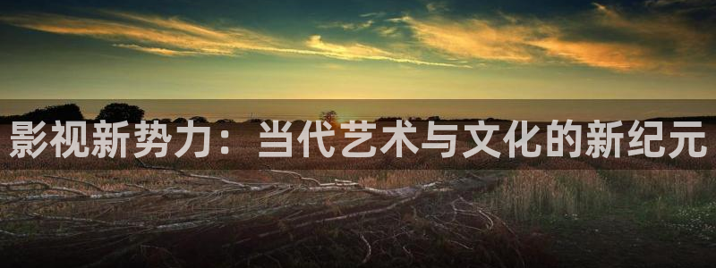 桔子午夜电影网：影视新势力：当代艺术与文化的新纪元