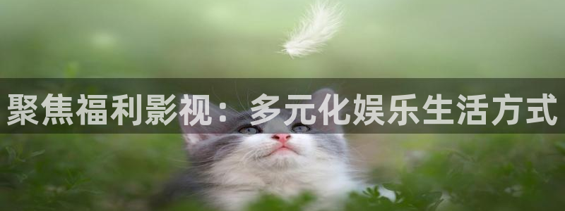 桔子视频如何下载：聚焦福利影视：多元化娱乐生活方式