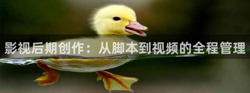 桔子视频在线观看高清电视剧：影视后期创作：从脚本到视频的全程管理
