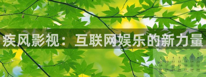 桔子视频免费版：疾风影视：互联网娱乐的新力量
