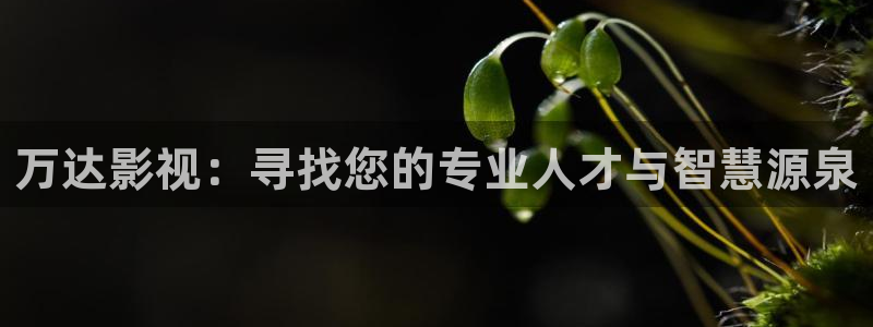 桔子照片大全大图：万达影视：寻找您的专业人才与智慧源泉